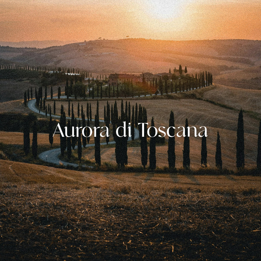 Luxury Italian-inspired candle imagery featuring a sunrise over Tuscany. Elegant cypress-lined road, golden hills, and soft morning light reflect the Aurora di Toscana home fragrance. High-end candle infused with crystals, handcrafted in small batches.