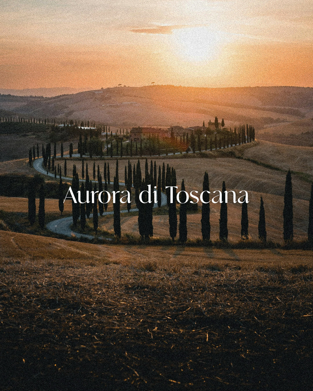 Luxury Italian-inspired candle imagery featuring a sunrise over Tuscany. Elegant cypress-lined road, golden hills, and soft morning light reflect the Aurora di Toscana home fragrance. High-end candle infused with crystals, handcrafted in small batches.