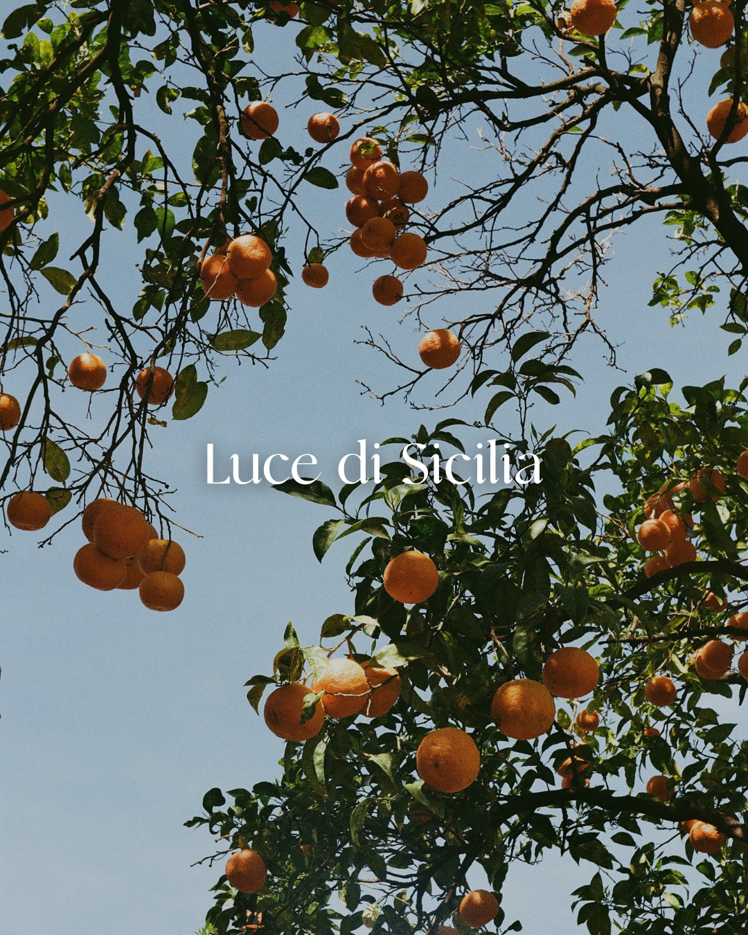 Luxury Italian-inspired candle with gilded mandarin, infused with citrine, sunstone, and orange calcite. Luce di Sicilia evokes golden Sicilian orange groves, warm sandalwood, and romantic citrus fragrance.